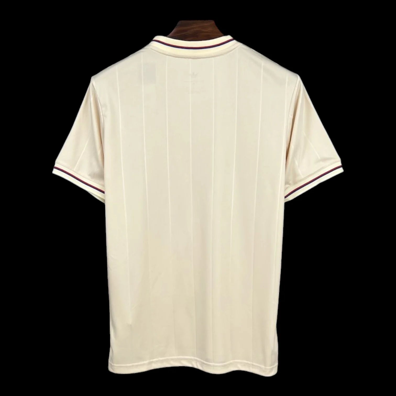 Maillot Olympique Lyonnais 75ans