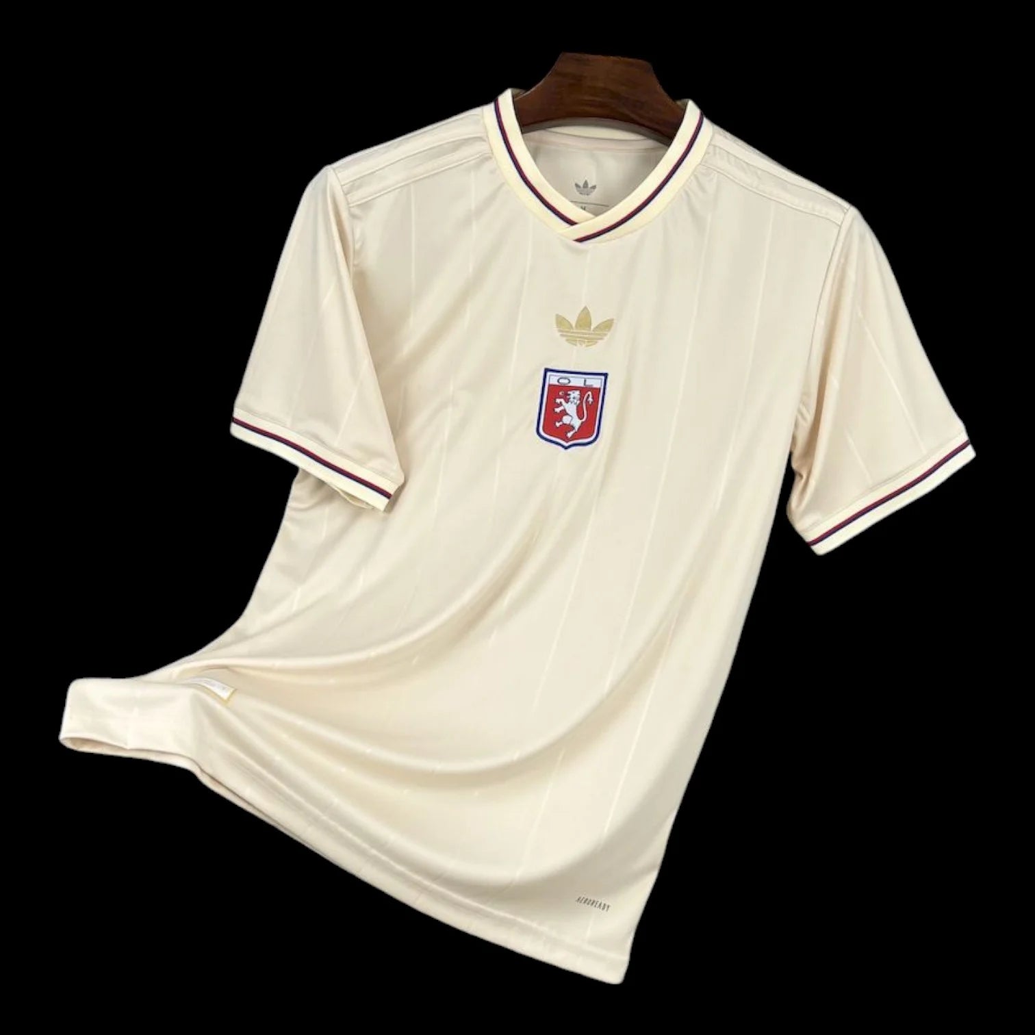 Maillot Olympique Lyonnais 75ans